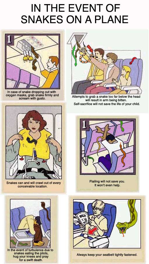snakes on the plane