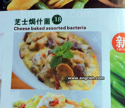 cheese baked assorted bacteria