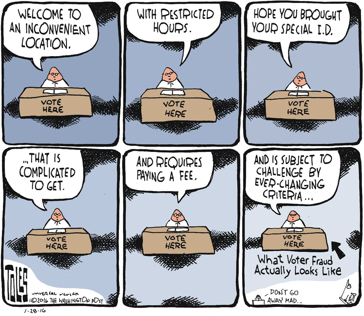 voter fraud