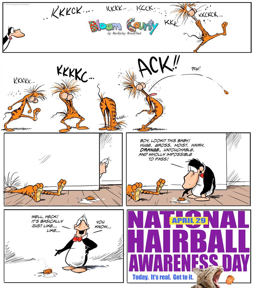 National Hairball Awareness Day