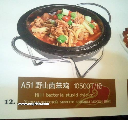 hill bacteria stupid chicken