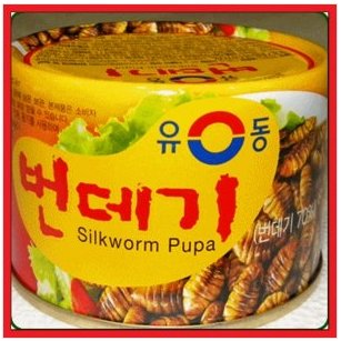 Silkworm Pupa