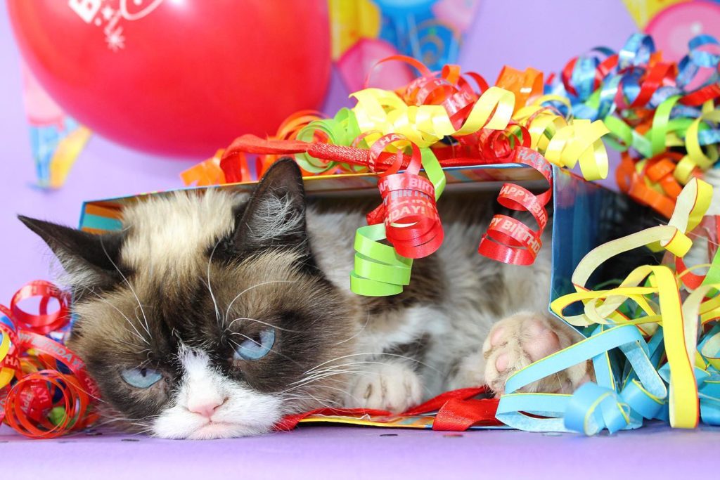 grumpy birthday
